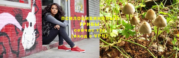 мдма Рославль